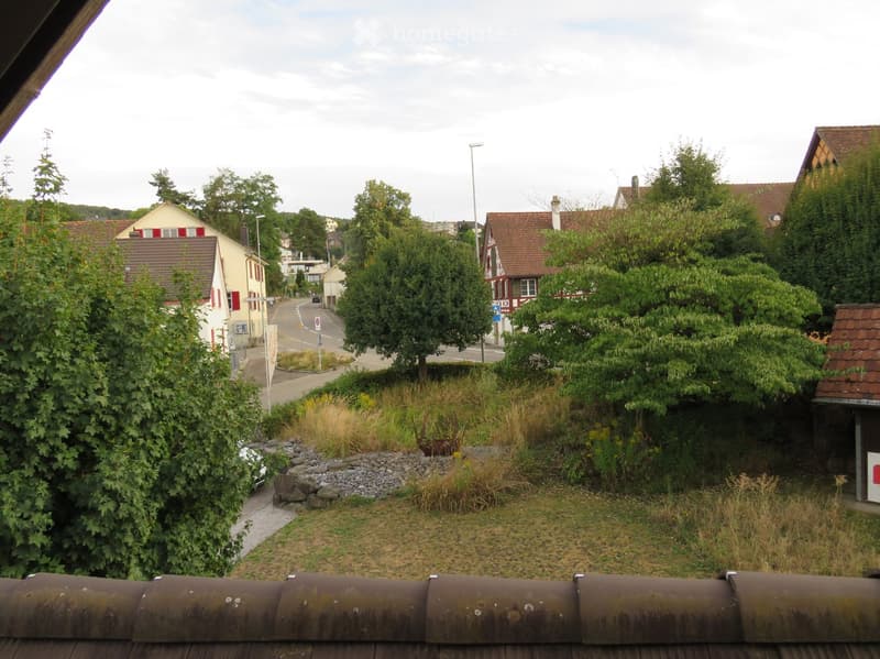 View from a rooftop showing a residential street with houses, trees, and a small landscaped area with rocks and plants.
