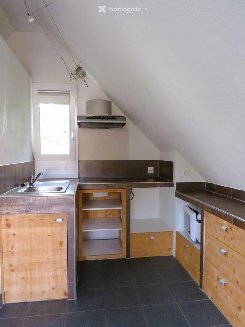 Compact kitchen with wooden cabinets, a sink, microwave, and open shelving. Features a window and modern lighting.