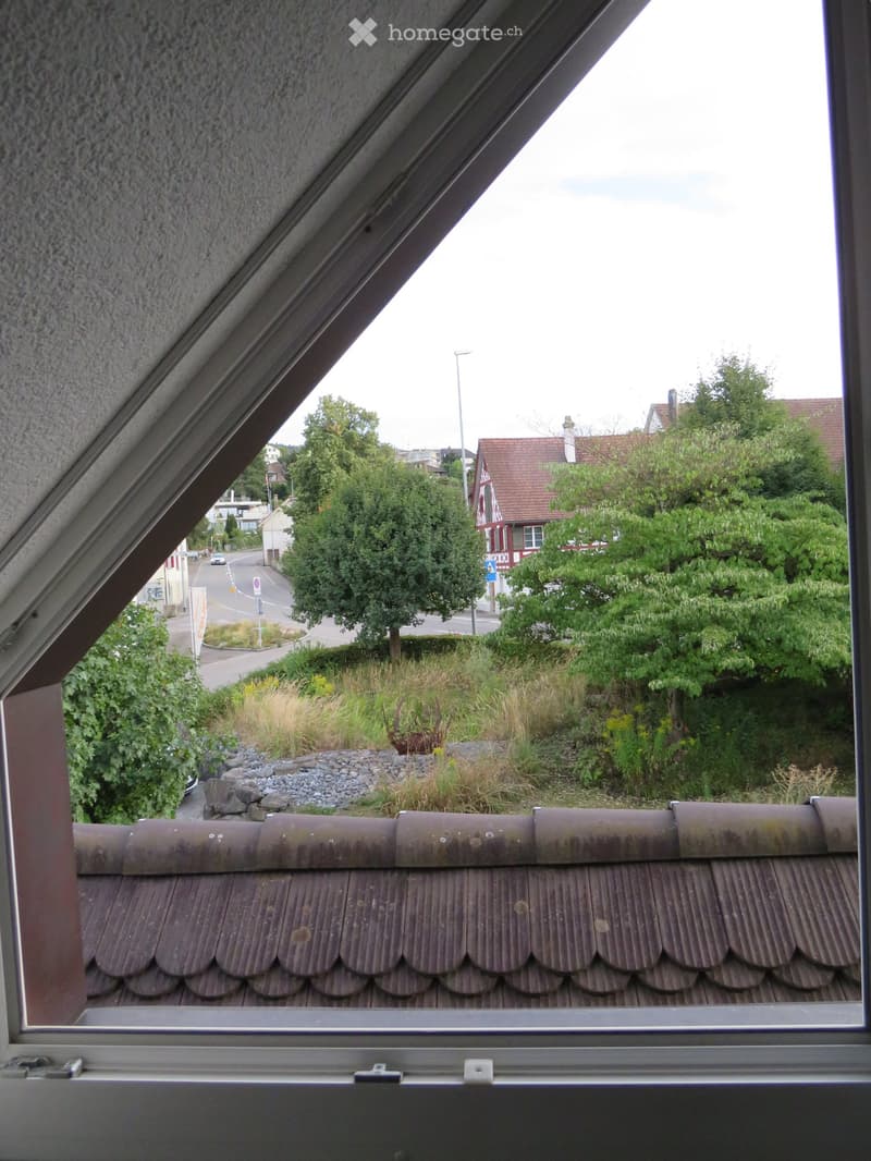 View from a window showing a roof terrace with plants, rocks, and a street with houses and trees in the background.