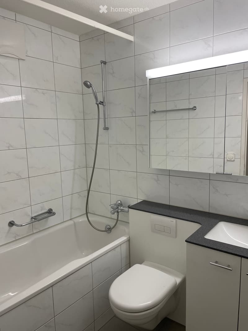 Modern bathroom with white marble tiles, bathtub, toilet, sink, and showerhead. Features built-in handrails and a sleek black countertop.