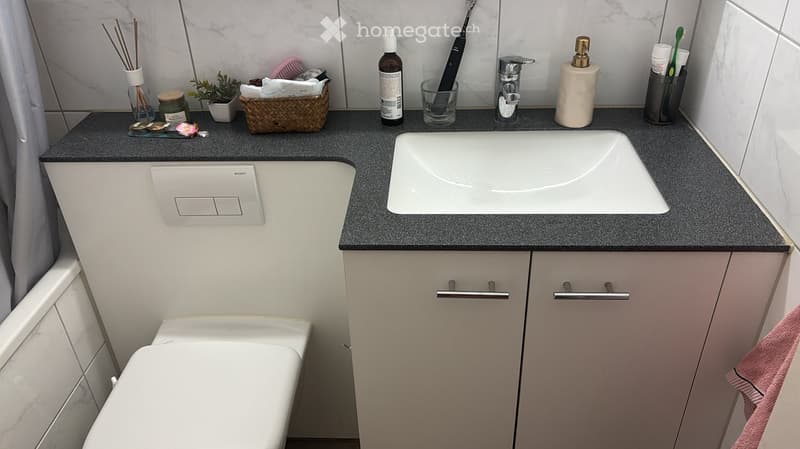 Modern bathroom with a white sink, toilet, and countertop. The countertop features a variety of toiletries including a toothbrush, toothpaste, soap dispenser, and a small plant. A pink towel hangs on the cabinet door.