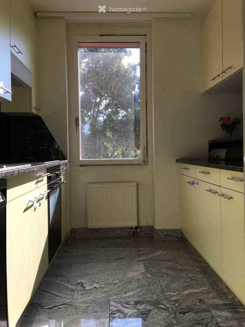 Bright kitchen with cream-colored cabinets, granite countertops, and a large window overlooking greenery. Features an oven, radiator, and a small flower vase on the counter.