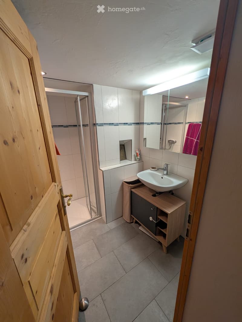 Modern bathroom with a white sink, wooden cabinet, mirror, and a glass-enclosed shower. The walls are tiled with a blue accent border, and a pink towel is visible on the shower door.