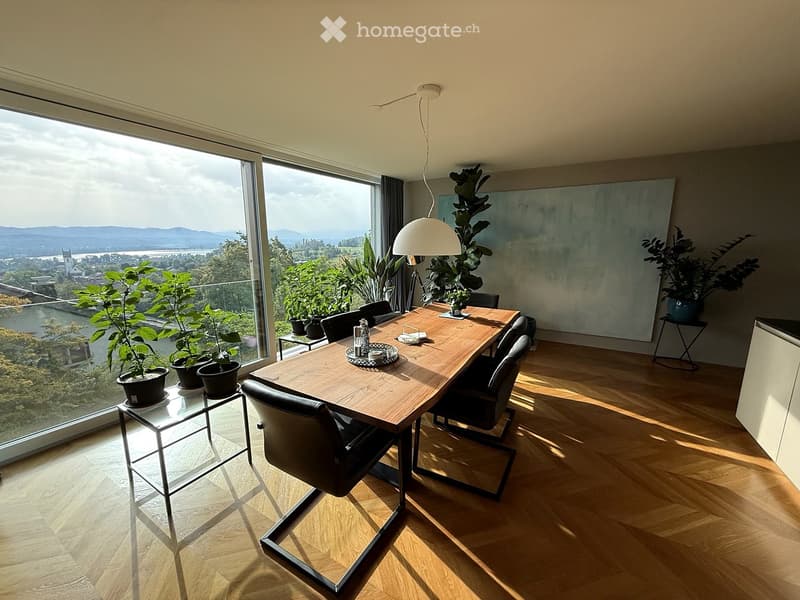 Modern dining area with a wooden table, black chairs, potted plants, and a large window offering a scenic view.
