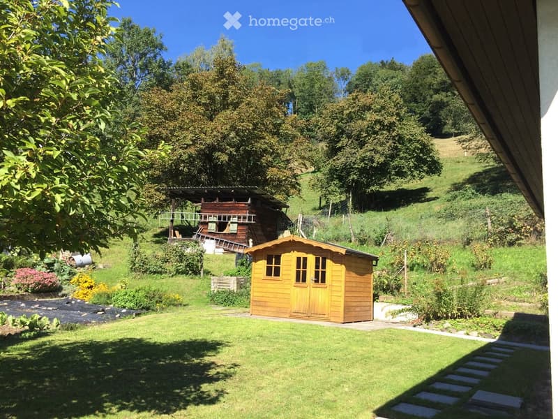 A well-maintained garden with a wooden shed, lush greenery, and a raised wooden structure in the background.