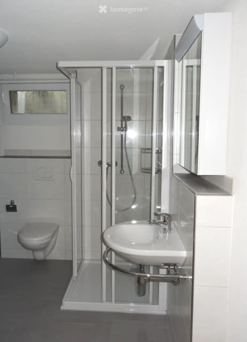 Modern bathroom with white tiles, a glass-enclosed shower, a toilet, a sink, and a mirror.