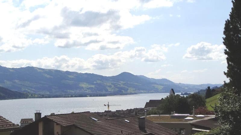 Scenic view of a lake and surrounding mountains from a rooftop terrace, with houses and trees in the foreground.