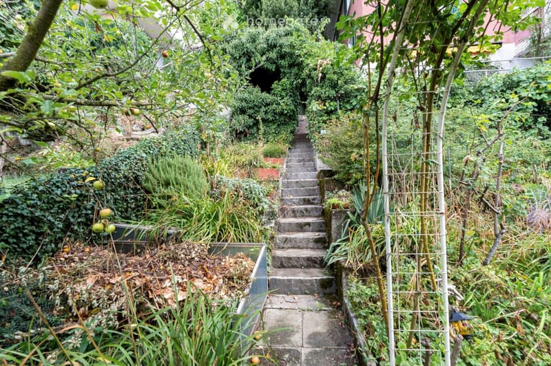 A lush, terraced garden with stone steps, climbing plants, and various greenery, including fruit trees and shrubs.