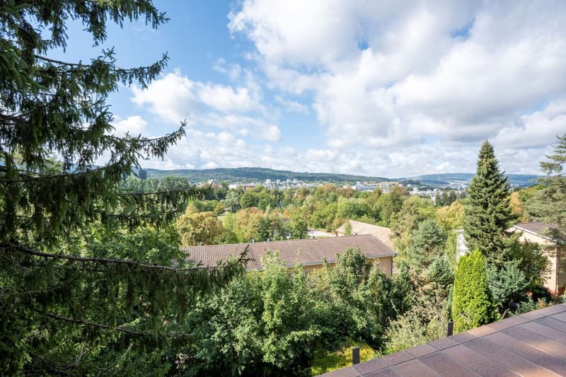 A scenic view from a rooftop or balcony showing a lush green landscape with trees, houses, and a distant cityscape under a partly cloudy sky.