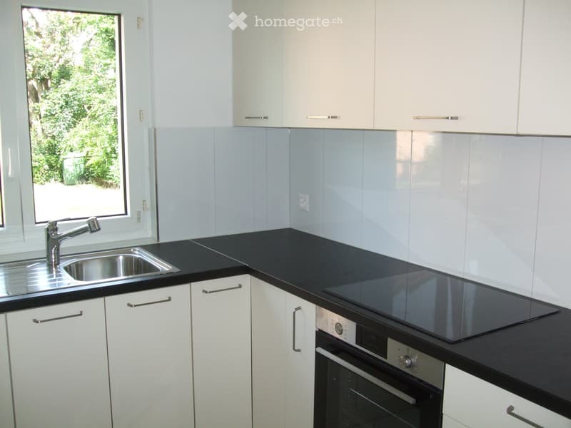 Modern kitchen with white cabinets, black countertops, stainless steel sink, induction cooktop, and built-in oven.