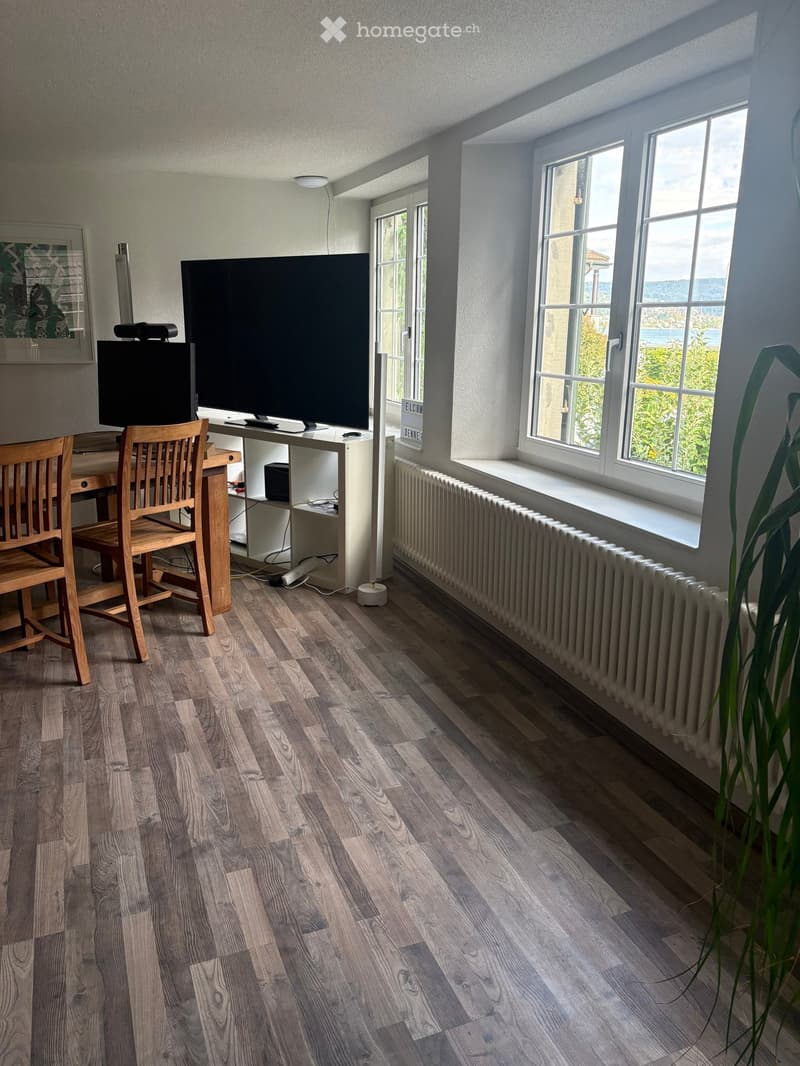 A modern living room with wooden flooring, large windows, a television, a wooden table with chairs, and a radiator along the wall.