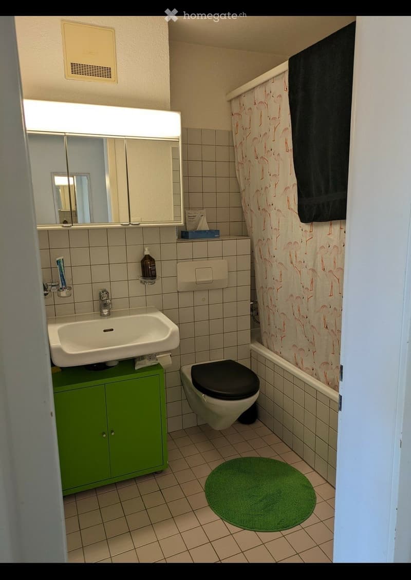 Bathroom with a white sink, mirror, toilet, bathtub with a flamingo-patterned shower curtain, green cabinet, and a round green bath mat.