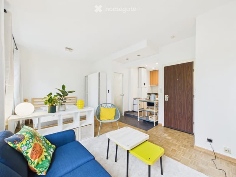 Bright, modern living space with a blue sofa, white coffee table, yellow accent chair, small kitchen area, and decorative plants.