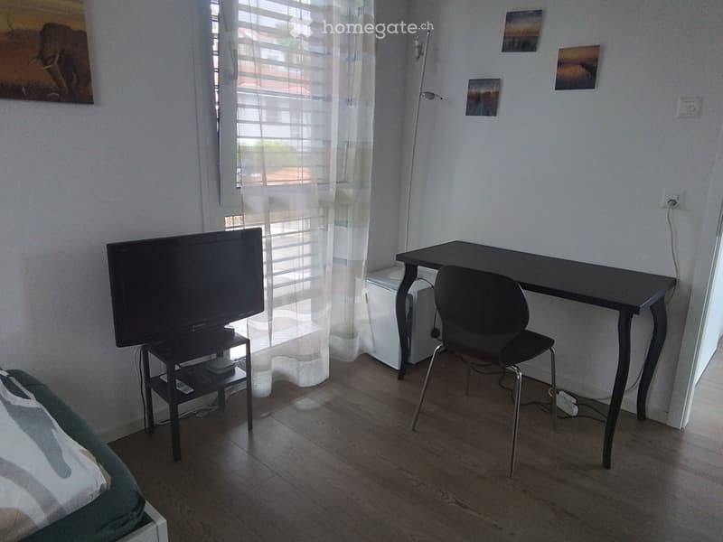 A furnished room with a wooden floor, a TV on a stand, a desk with a chair, and a bed with a blanket visible in the corner.