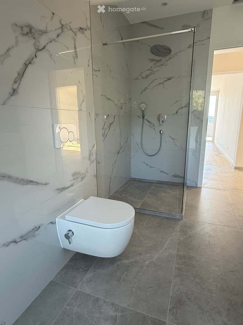 Modern bathroom with a white toilet, a glass-enclosed shower with a handheld showerhead, and marble tiles on walls and floor.