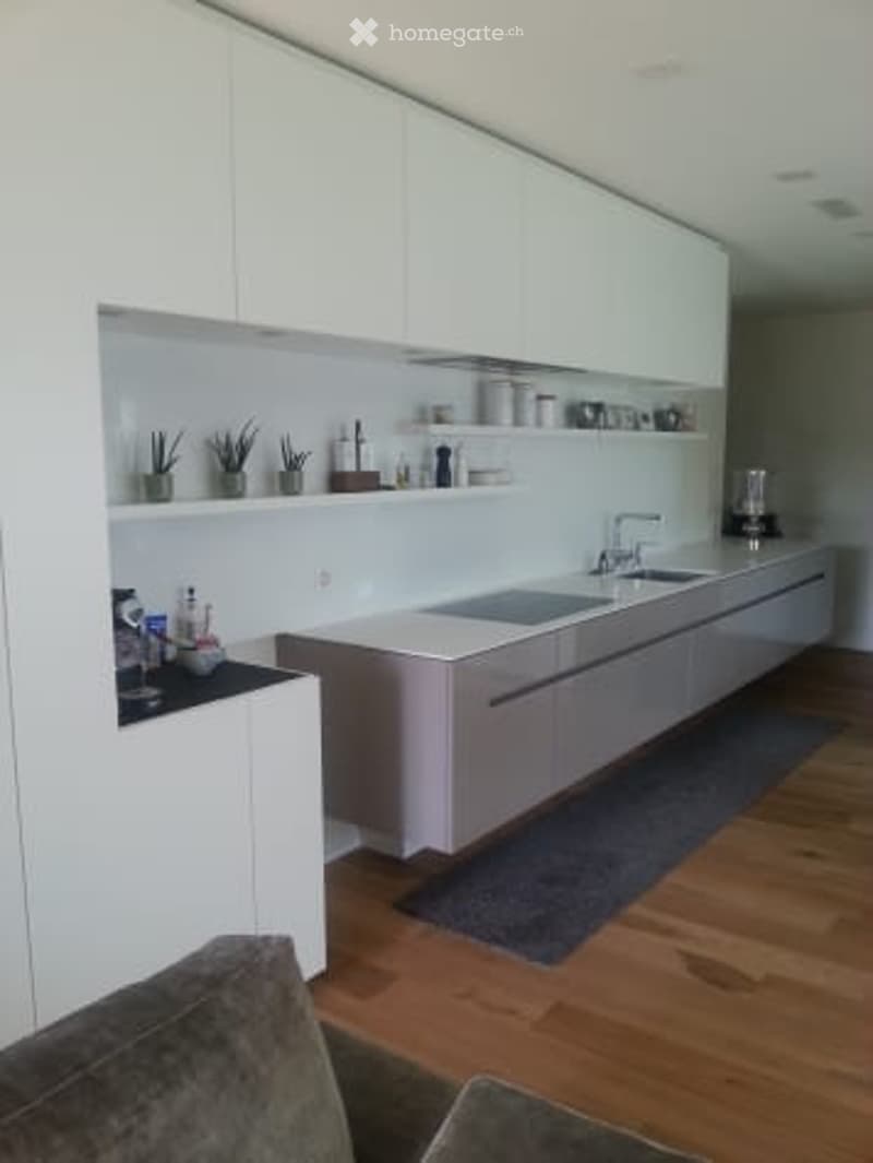 Modern kitchen with white cabinets, stainless steel sink, and various kitchen items on shelves and counters.
