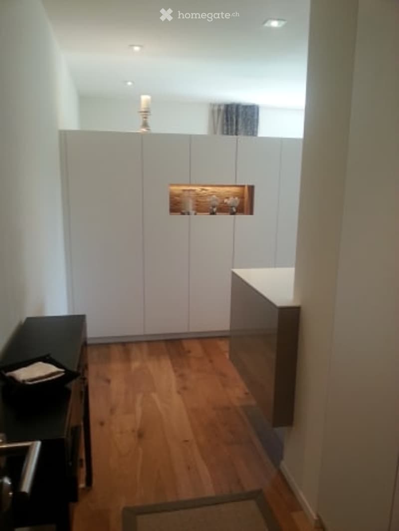 Modern hallway with light wooden flooring, white walls, built-in cabinets, and a small decorative display on the wall.