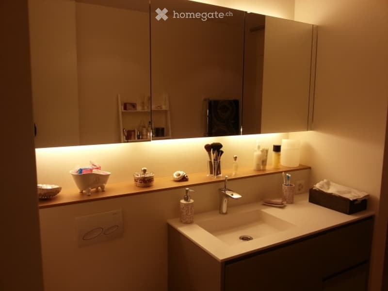 Modern bathroom with a large mirror, a sink, and various toiletries neatly arranged on the counter.