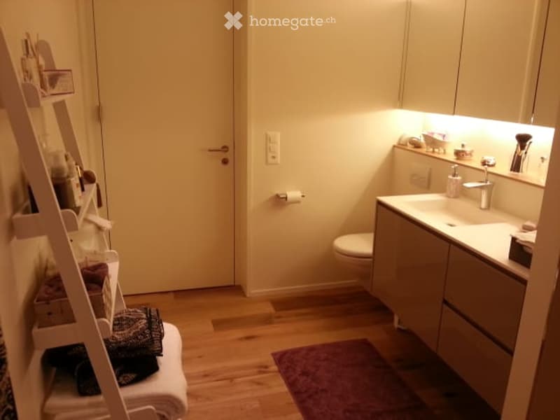 Modern bathroom with wooden flooring, a sink with a mirror, a toilet, and a ladder holding towels and other items.