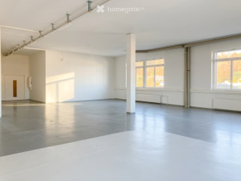 empty room, concrete floor, white walls, three windows, white ceiling