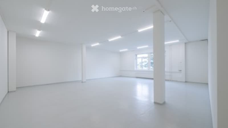 {"output": {    "visible_features": [],    "type": "Room",    "description": "empty room, white walls, white floor, pillars, windows, lights",    "localized_descriptions":        {        "EN": "Room: empty room, white walls, white floor, pillars, w