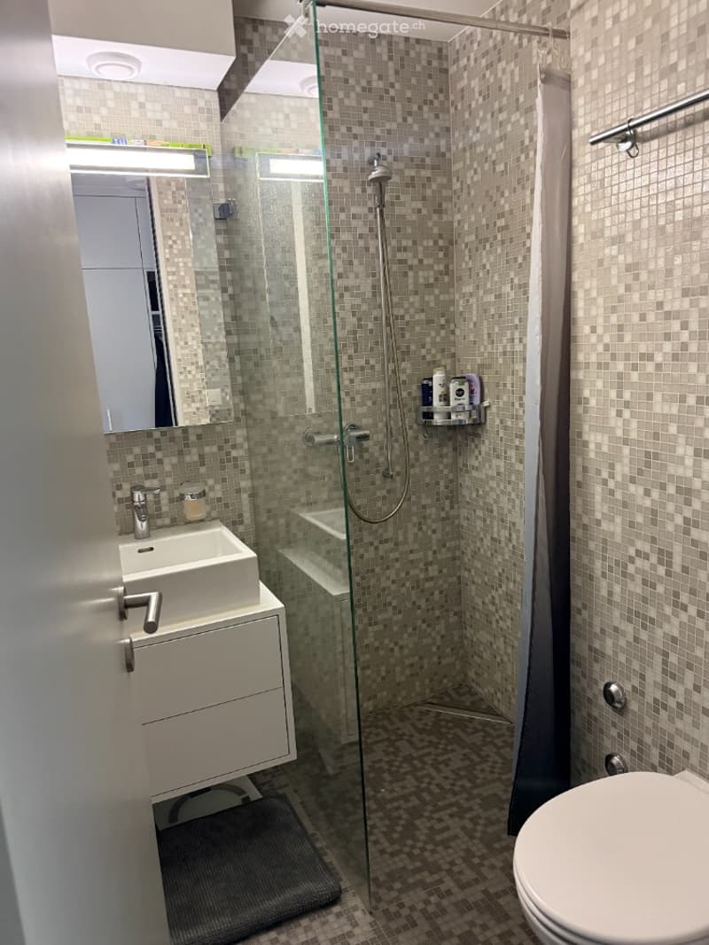Modern bathroom with a glass-enclosed shower, a white sink with a mirror, a toilet, and a small cabinet. The walls and floor are tiled in a mosaic pattern.