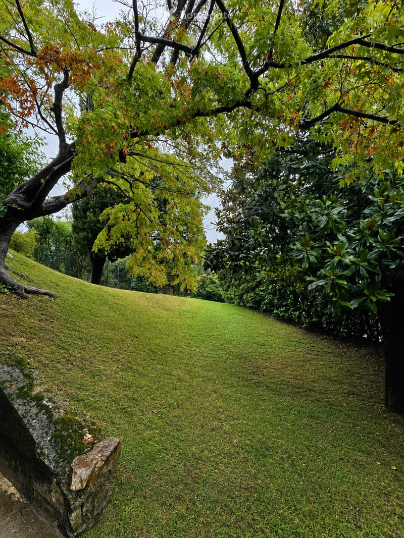 A well-maintained garden path surrounded by lush greenery, featuring a moss-covered slope and a stone border.