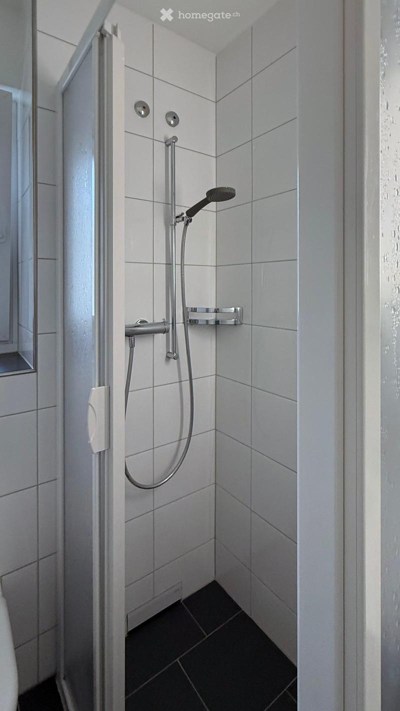 Modern shower area with white tiled walls, black tiled floor, and a handheld showerhead on a rail.