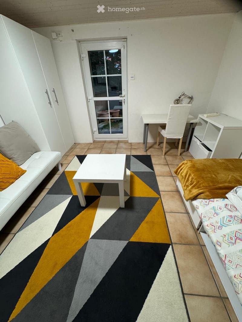 A compact, well-furnished room with a sofa, coffee table, bed, desk, and chair. The room features a geometric patterned rug and a sliding glass door leading outside.