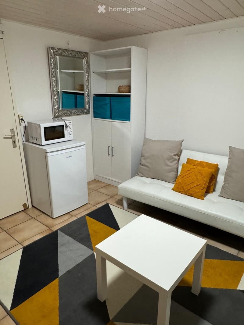 A compact living space with a white sofa, coffee table, small refrigerator, microwave, and a cabinet with shelves.