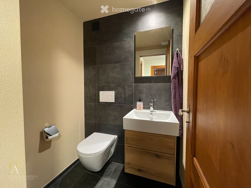 Modern bathroom with dark tiled walls, white toilet, wooden vanity with sink, mirror, and a purple towel hanging on the door.
