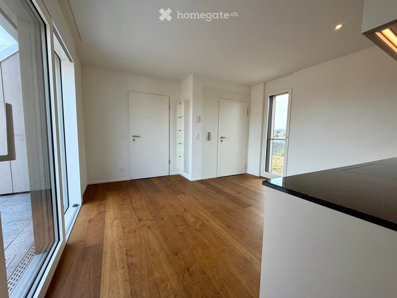 Empty room with wooden flooring, white walls, and large windows. Features include a small built-in cabinet and a black countertop in the corner.