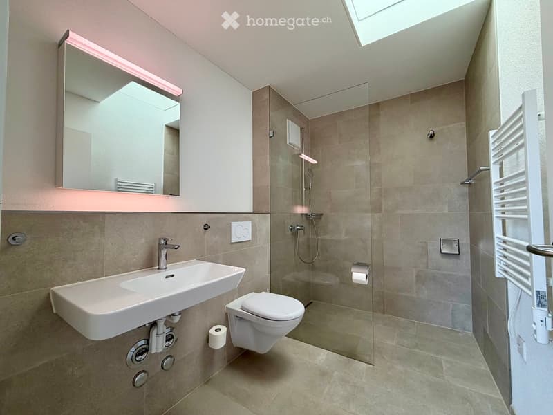 Modern bathroom with a white sink, chrome faucet, toilet, glass-enclosed shower, and a large mirror with built-in lighting. Beige tiles and a skylight provide natural light.