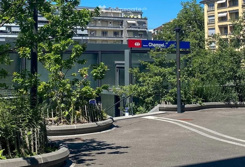 A small landscaped area with trees and shrubs, featuring a curved concrete pathway and street signs for 'Champel'.