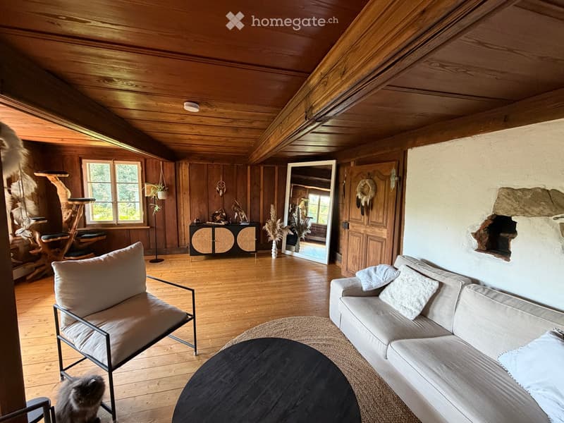 Cozy living room with wooden walls and ceiling, featuring a sofa, armchair, coffee table, cat tree, and cabinet. Natural light from large windows illuminates the space.