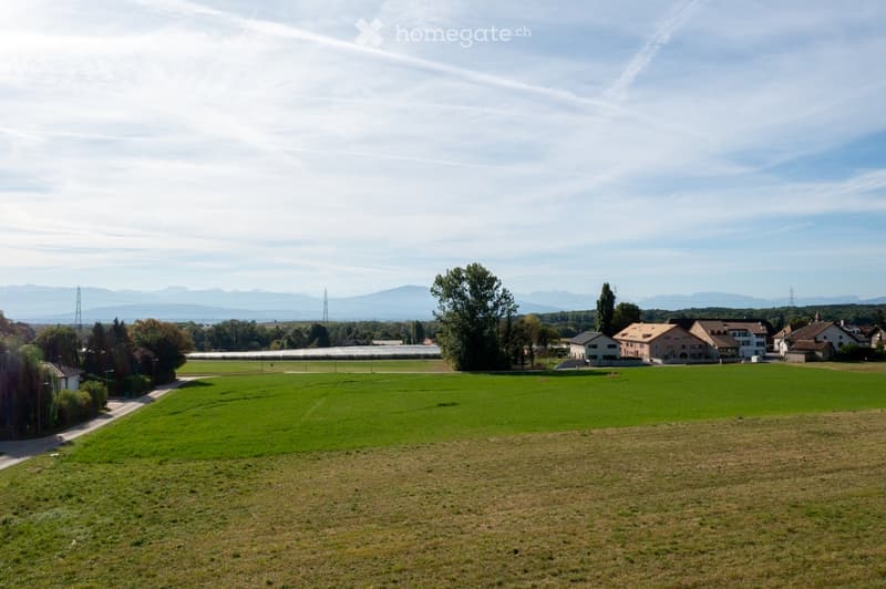 A wide, open green field with scattered trees and a few houses in the background, surrounded by distant mountains under a clear sky.