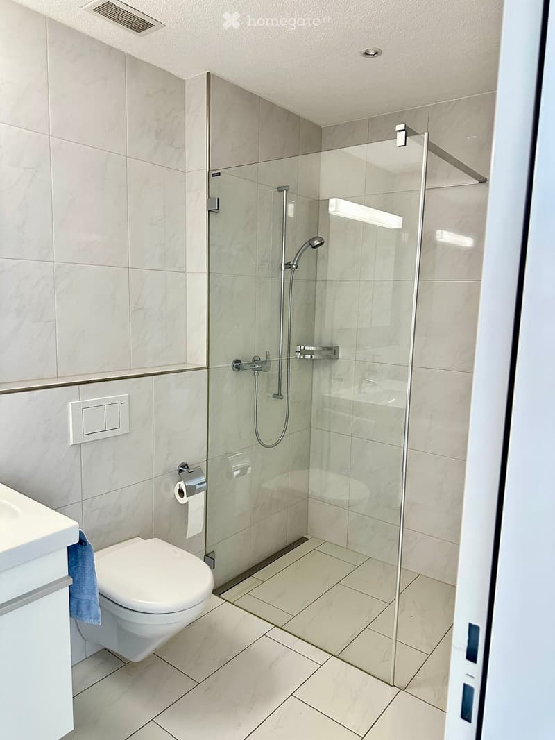 Modern bathroom with a glass-enclosed shower, toilet, and a towel hanging on the side.