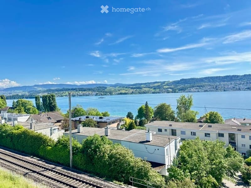 A scenic view of a lake and distant mountains from a residential area with houses and trees.