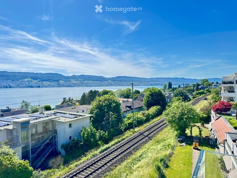 Aerial view of a residential area with houses, train tracks, and a scenic view of a lake and mountains in the background.