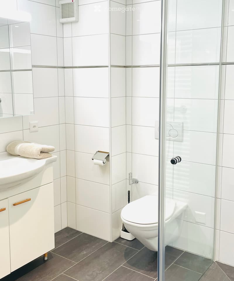 modern bathroom, white tiles, white sink, white toilet, glass shower enclosure, towel rack