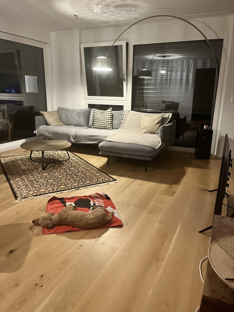 Modern living room with light wooden flooring, a grey sectional sofa, a coffee table, a floor lamp, and a dog resting on a red blanket.