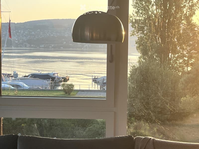 A modern living room with a large window showcasing a scenic waterfront view, featuring a sofa and a stylish pendant light fixture.