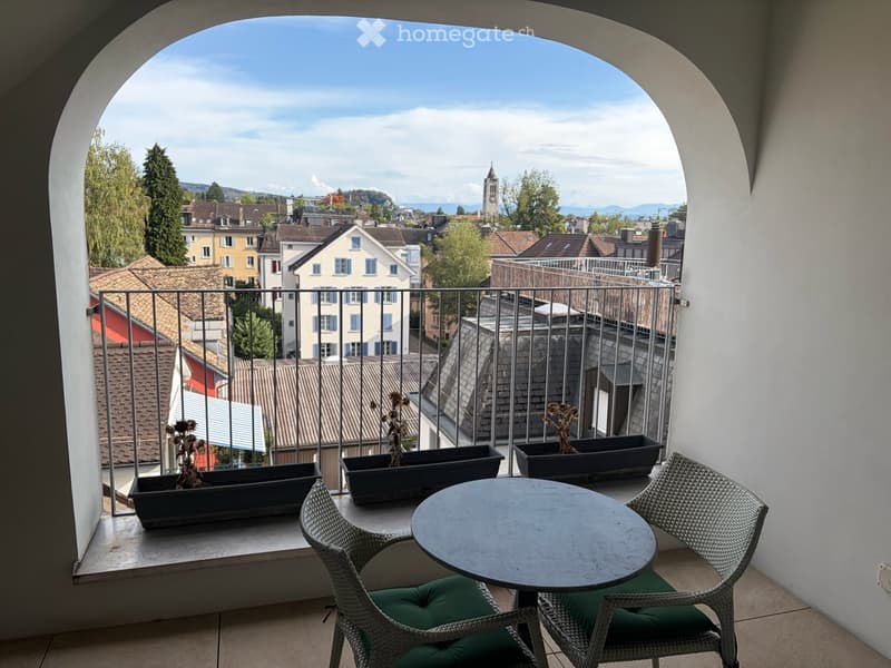 Grosszügige 2.5-Zimmer-Wohnung mit privater Dachterrasse - direkt am Hottingerplatz (7)