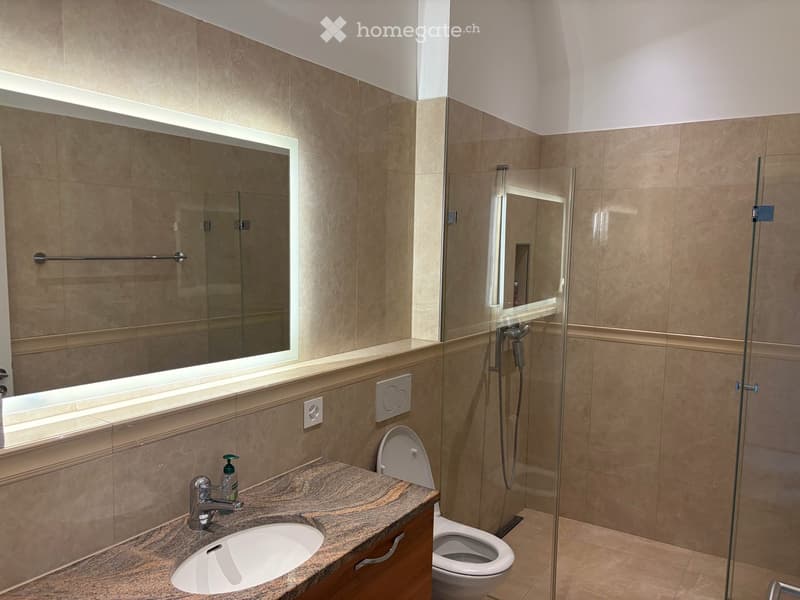 Grosszügige 2.5-Zimmer-Wohnung mit privater Dachterrasse - direkt am Hottingerplatz (6)