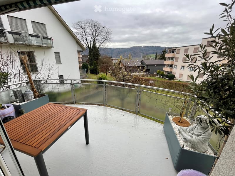 Balcony with a wooden table, a statue, and potted plants, overlooking a residential area with houses and trees.