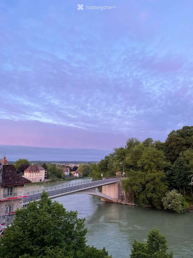 A scenic view of a river with a bridge crossing over it, surrounded by lush green trees and buildings on the riverbanks.