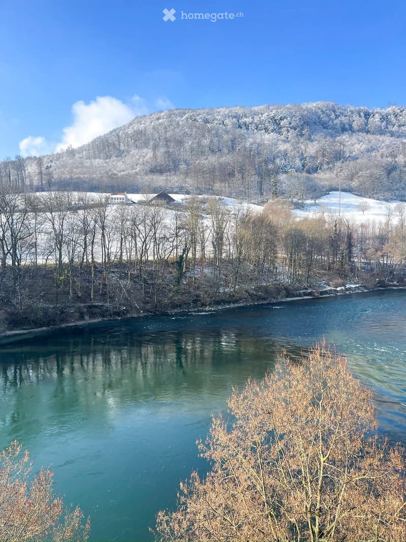 A serene river flows through a snowy landscape with bare trees and distant hills under a clear blue sky.