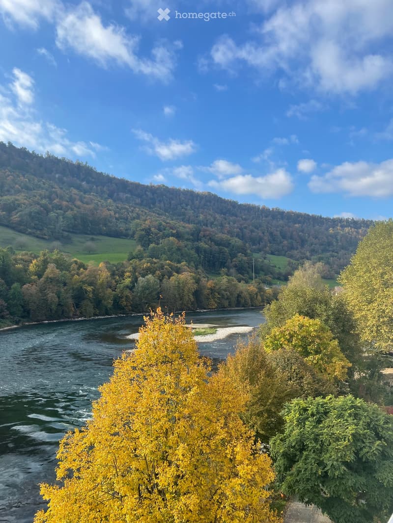 Scenic view of a river surrounded by autumn-colored trees and forested hills under a partly cloudy sky.