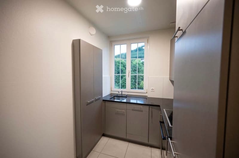 Modern kitchen with grey cabinets, a sink, and a window overlooking greenery.