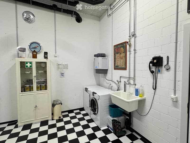 {"type": "Bathroom", "objects": ["sink", "faucet", "washing machine", "cabinet", "framed picture", "telephone", "mirror", "faucet", "sink", "faucet", "faucet", "faucet", "faucet", "faucet", "faucet", "faucet", "faucet", "faucet", "faucet", "faucet", "fauc